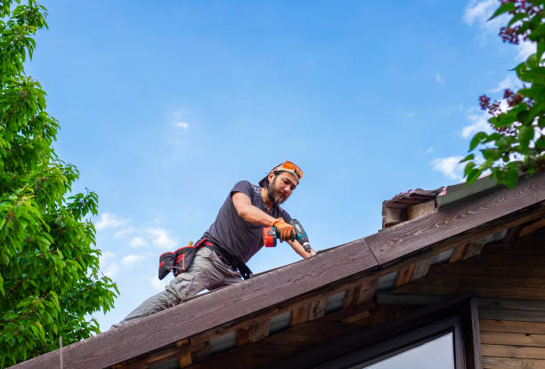 Best Storm Damage Roof Repair  in Portsmouth, VA